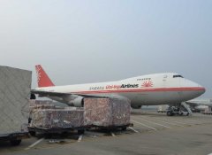 上海到大連空運(yùn) 6小時(shí)到達(dá)當(dāng)天件，價(jià)格低至200元