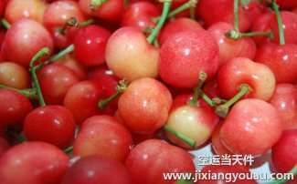 水果能空運(yùn)么？航空托運(yùn)水果收費(fèi)和包裝須知